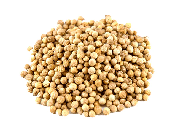 Coriander Whole