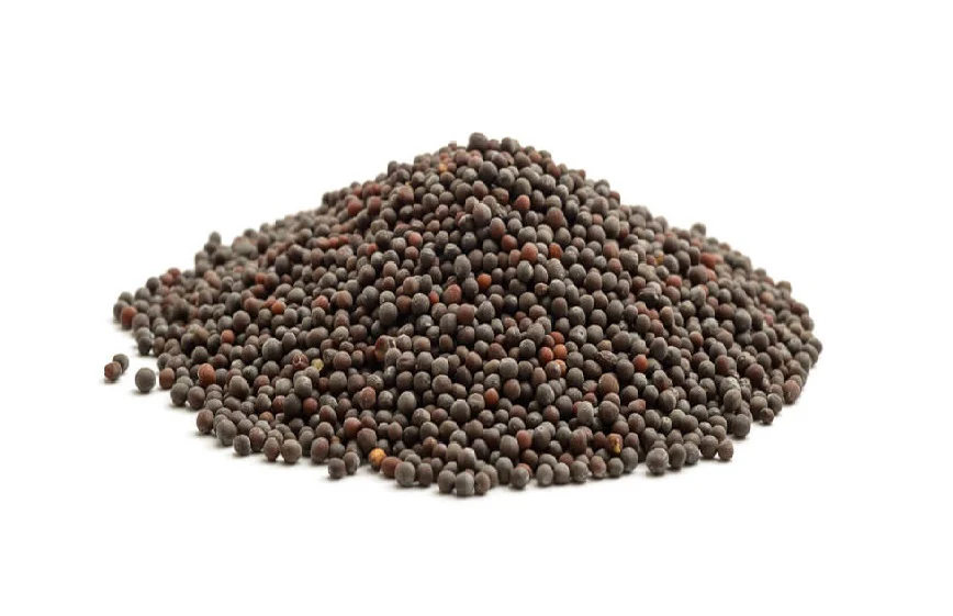 Mustard Seeds Brown Organic