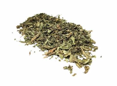 Spearmint Dried Organic